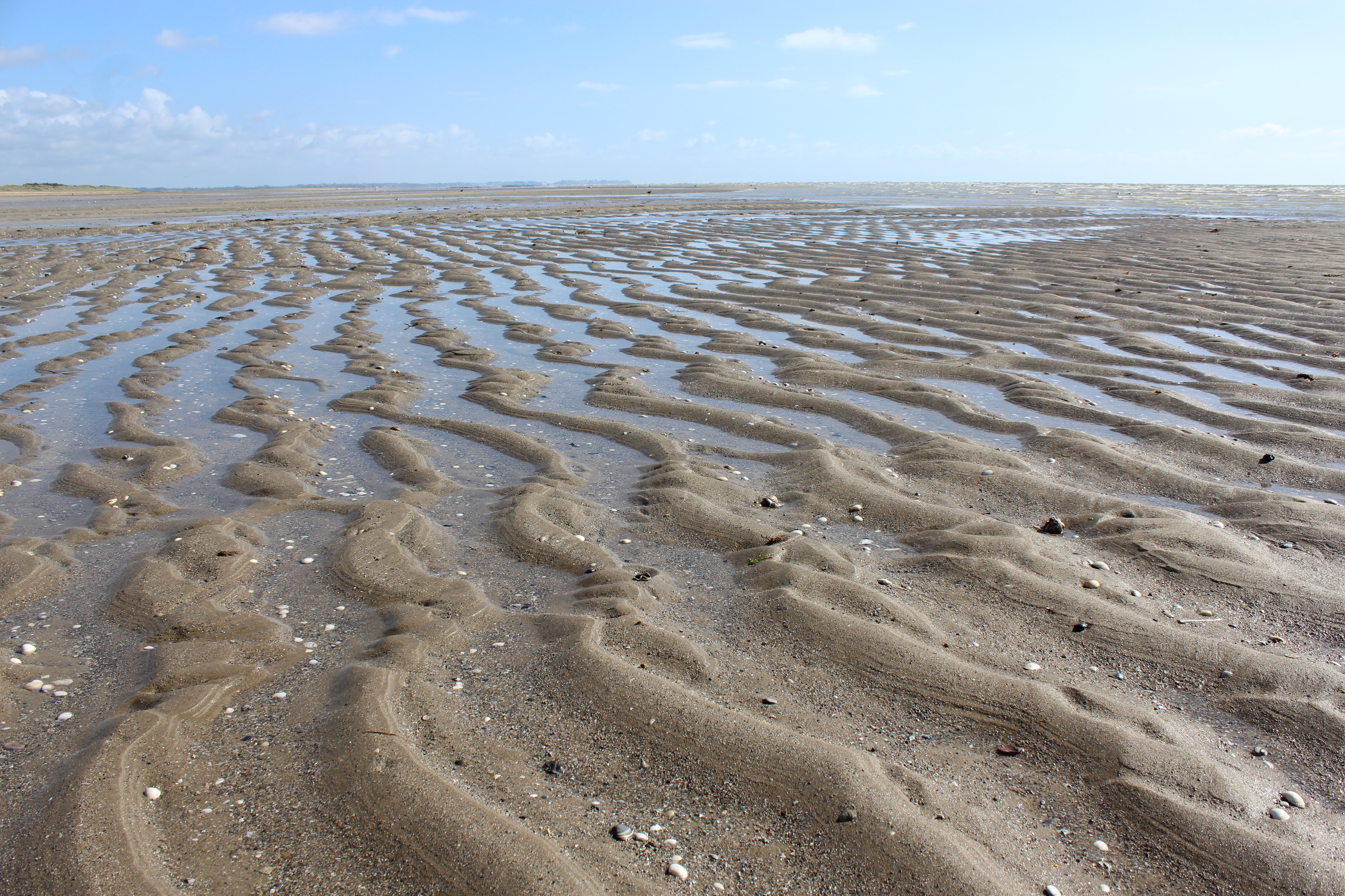 Plage Normande